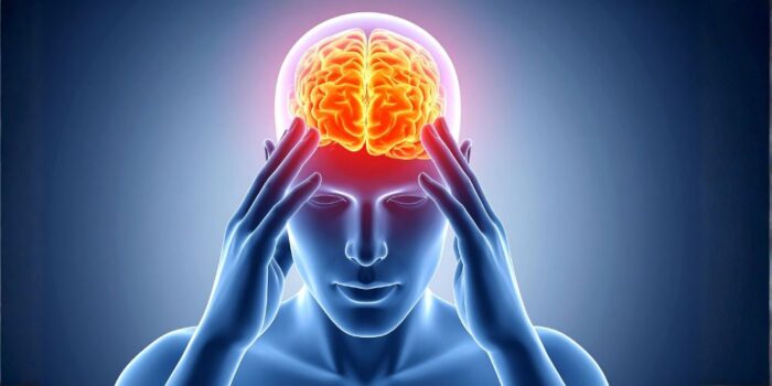 kerti eri bororegedes